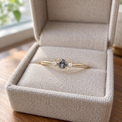 Petite Three-Stone Salt & Pepper Diamond Engagement Ring, photo 9